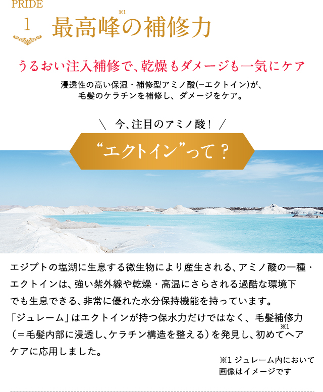 最高峰の補修力