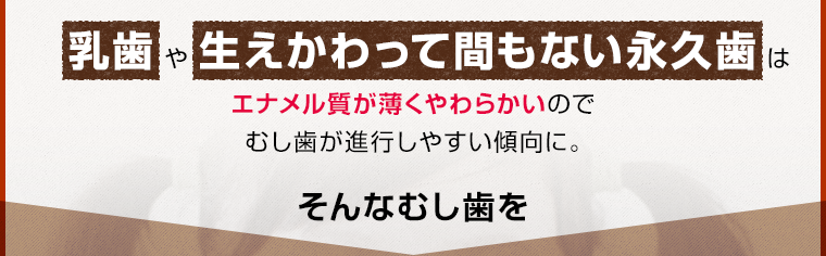 エナメル質が薄くやわらかい