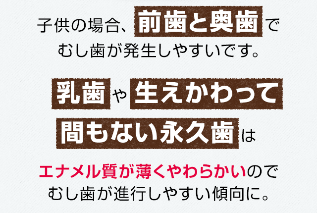 エナメル質が薄くやわらかい