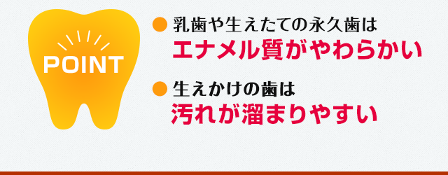 生えかけの歯は汚れが溜まりやすい