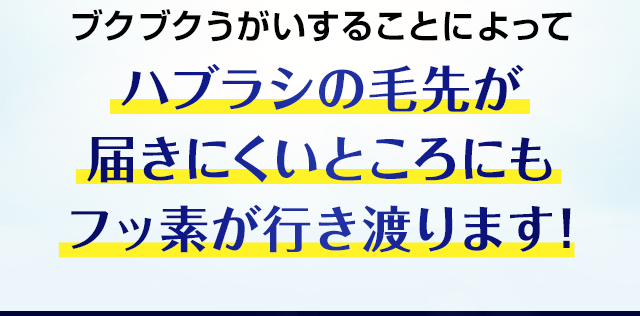 ハブラシの毛先が届きにくいところにもフッ素が行き渡ります！