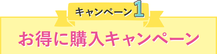 キャンペーン1 お得に購入キャンペーン
