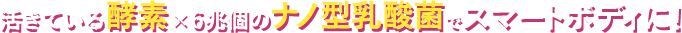 活きている酵素×6兆個のナノ型乳酸菌でスマートボディに!