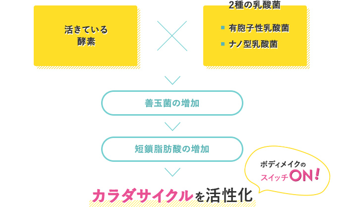 活きている酵素×2種の乳酸菌