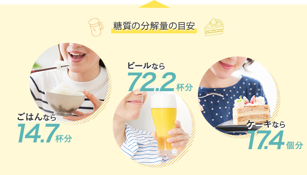 糖質の分解量の目安