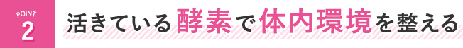 活きている酵素で体内環境を整える
