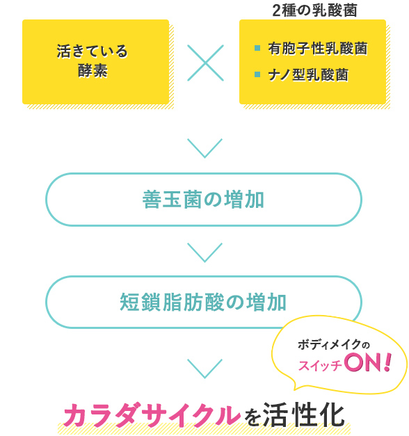 活きている酵素×2種の乳酸菌
