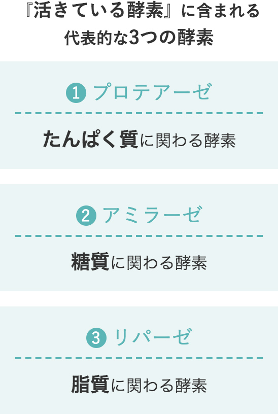 『活きている酵素』に含まれる代表的な3つの酵素