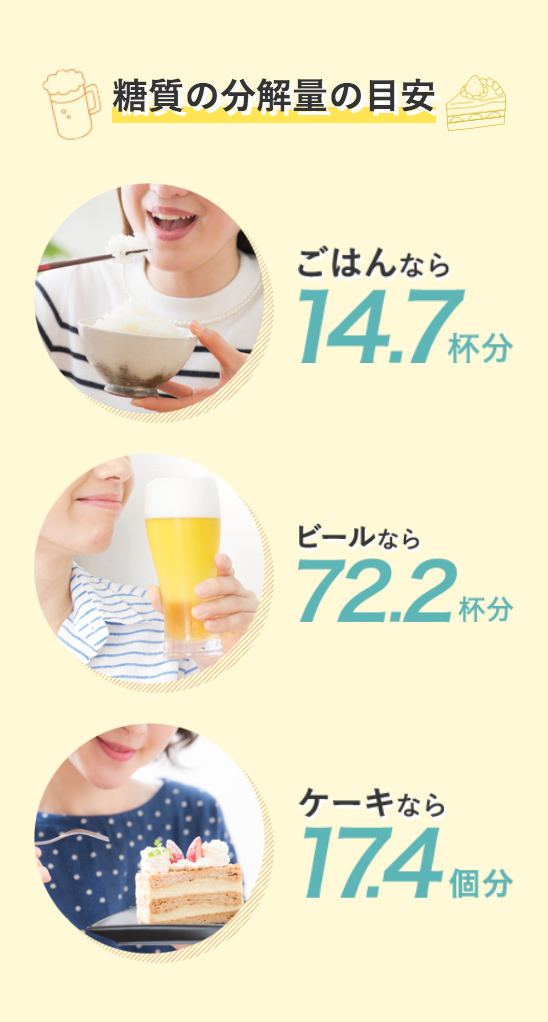 糖質の分解量の目安