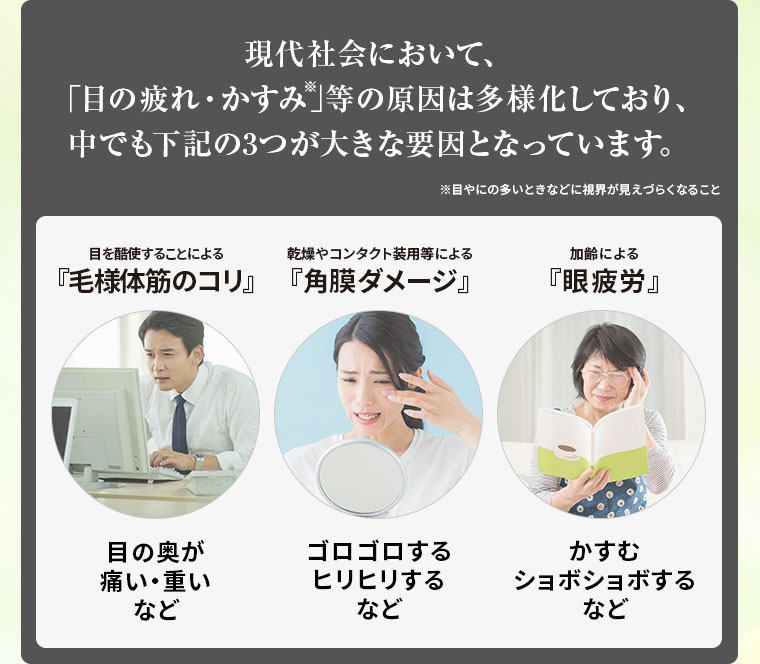 現代社会において、「目の疲れ・かすみ※」等の原因は多様化しており、中でも下記の3つが大きな要因となっています。