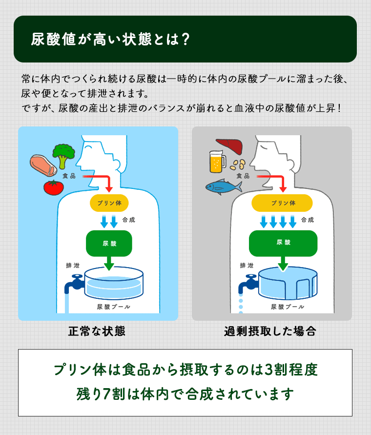 尿酸値が高い状態とは？常に体内でつくられ続ける尿酸は一時的に体内の尿酸プールに溜まった後、尿や便となって排出されます。ですが、尿酸の産出と排泄のバランスが崩れると血液中の尿酸値が上昇！