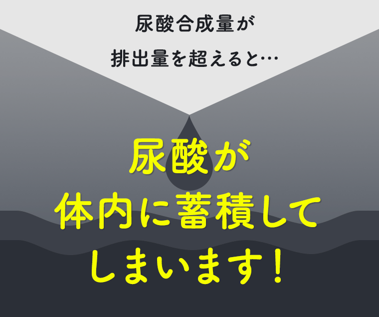 尿酸合成量が排出量を超えると…尿酸が体内に蓄積してしまいます！