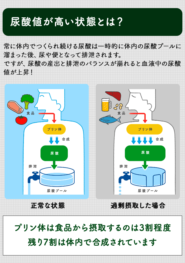 尿酸値が高い状態とは？常に体内でつくられ続ける尿酸は一時的に体内の尿酸プールに溜まった後、尿や便となって排出されます。ですが、尿酸の産出と排泄のバランスが崩れると血液中の尿酸値が上昇！