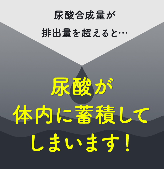 尿酸合成量が排出量を超えると…尿酸が体内に蓄積してしまいます！