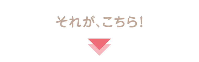 それが、こちら！