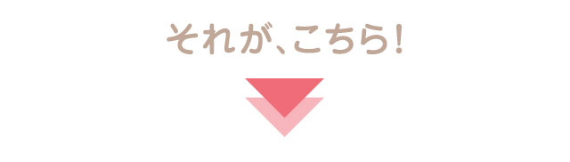 それが、こちら！