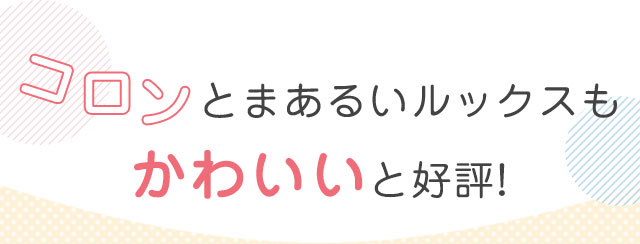 コロンとまあるいルックスもかわいいと好評