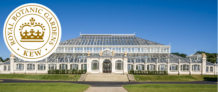 Kew（キュー）王立植物園のパートナーシップ
