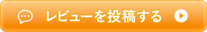 レビューを投稿する