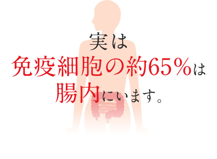 実は免疫細胞の約65％は腸内にいます。