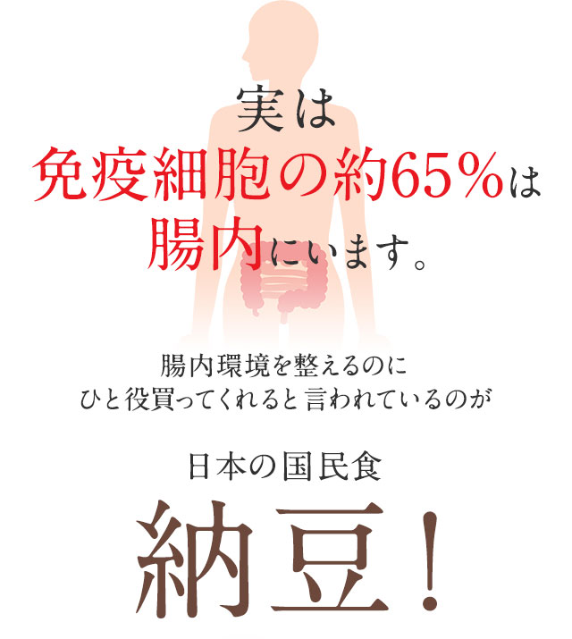 実は免疫細胞の約65％は腸内にいます。