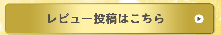 レビュー投稿はこちら