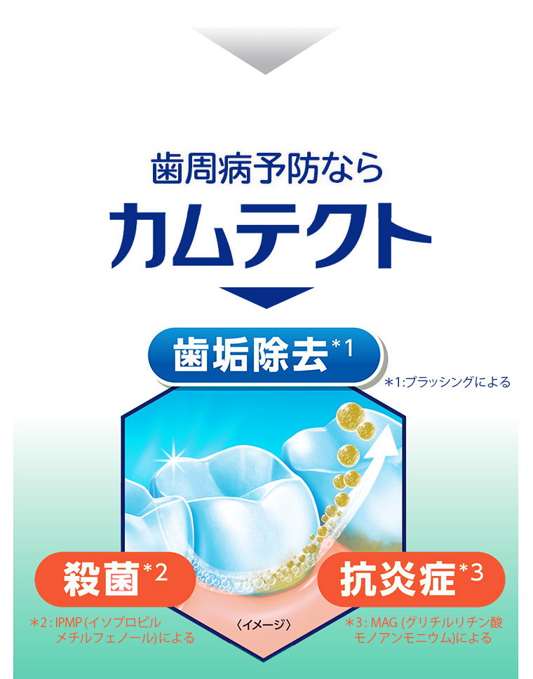 歯周病予防ならカムテクト 歯垢除去＊1 ＊1:ブラッシングによる 殺菌＊2 ＊2:IPMP(イソプロピルメチルフェノール)による 抗炎症＊3 ＊3:MAG(グリチルリチン酸モノアンモニウム)による
