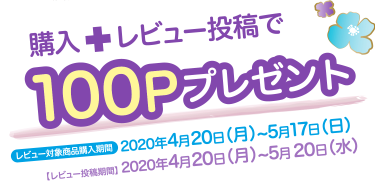 購入+レビュー投稿で100ポイントプレゼント
