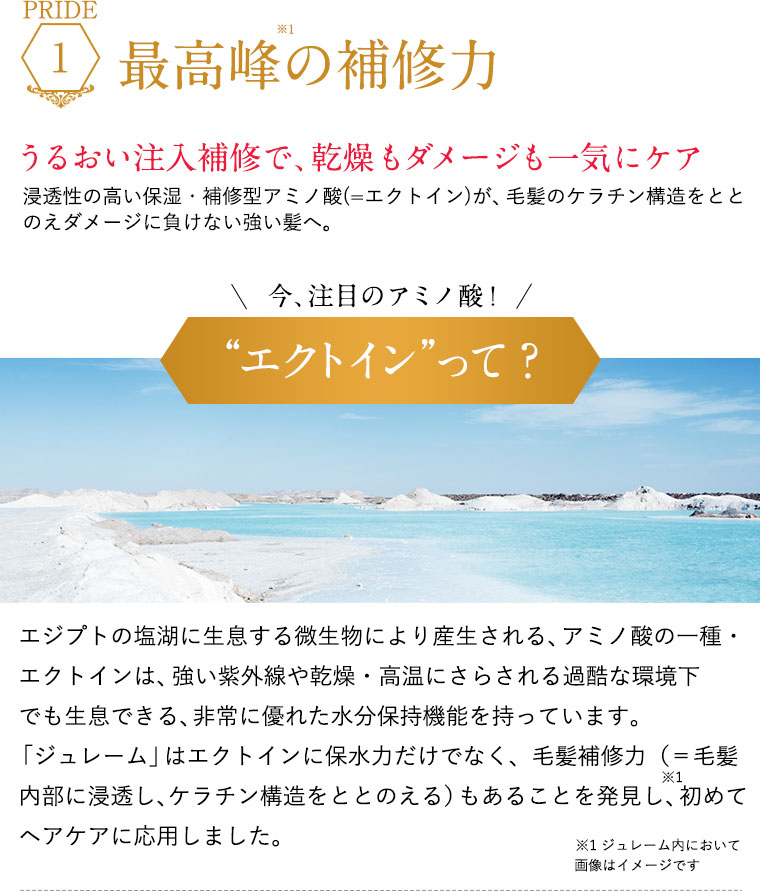 最高峰の補修力