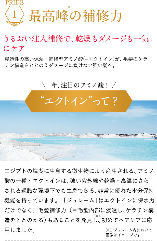 最高峰の補修力