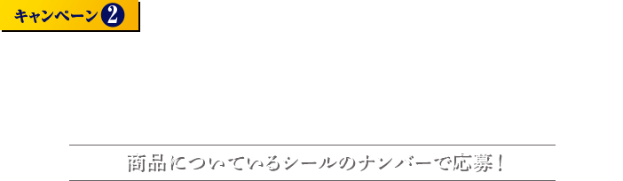 キャンペーン２ Gillette替刃購入で必ず当たる！ 商品についているシールのナンバーで応募！
