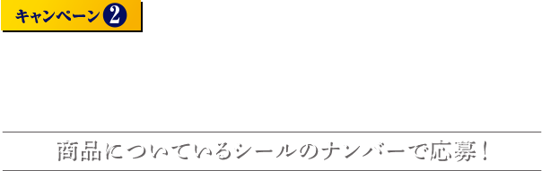 キャンペーン２ Gillette 替刃購入で必ず当たる！ 商品についているシールのナンバーで応募！