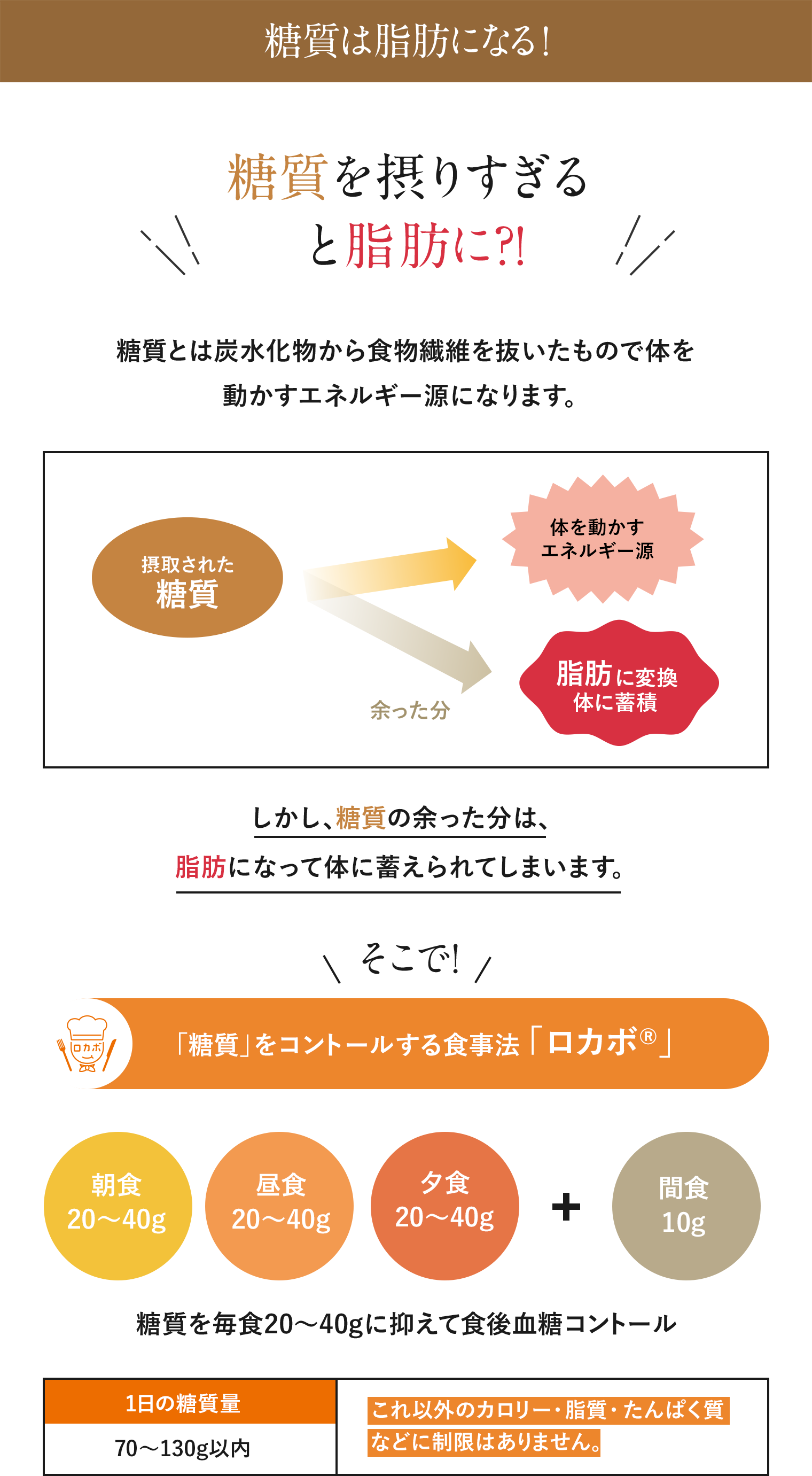 糖質は脂肪になる!
