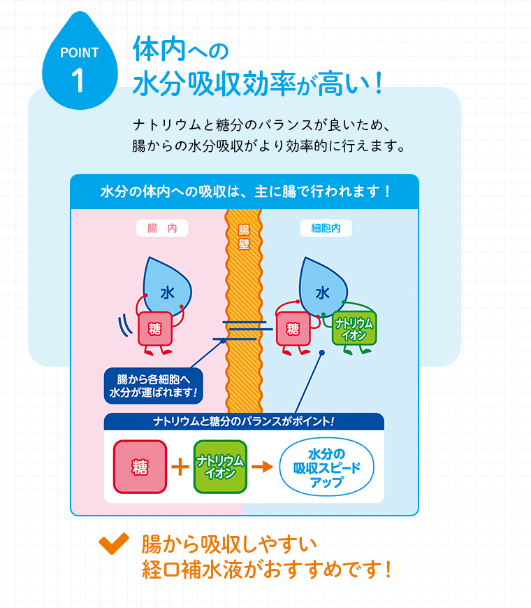 体内への　水分吸収効率が高い！　ナトリウムと糖分のバランスが良いため、腸からの水分吸収がより効率的に行えます。　水分の体内への吸収は、主に腸で行われます！・腸から吸収しやすい経口補水液がおすすめです！