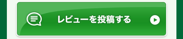 レビューを投稿する