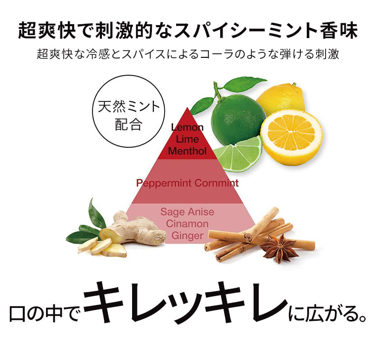 超爽快で刺激的なスパイシーミント香味