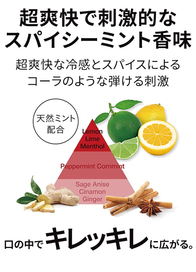 超爽快で刺激的なスパイシーミント香味
