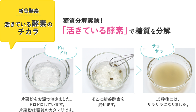 新谷酵素 活きている酵素のチカラ