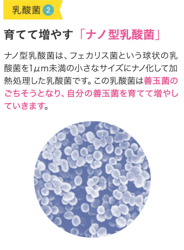 ②育てて増やす「ナノ型乳酸菌」