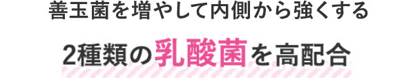 善玉菌を増やして内側から強くする2種類の乳酸菌を高配合