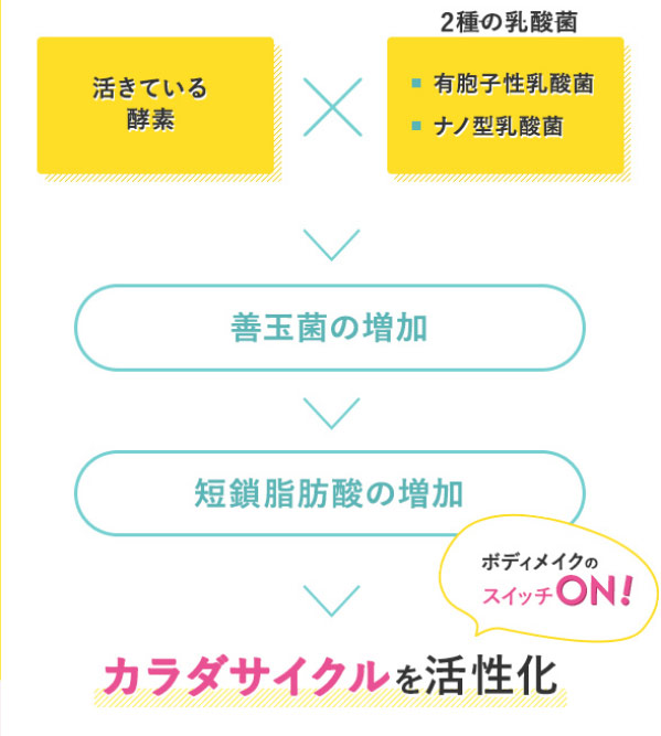 活きている酵素×2種の乳酸菌