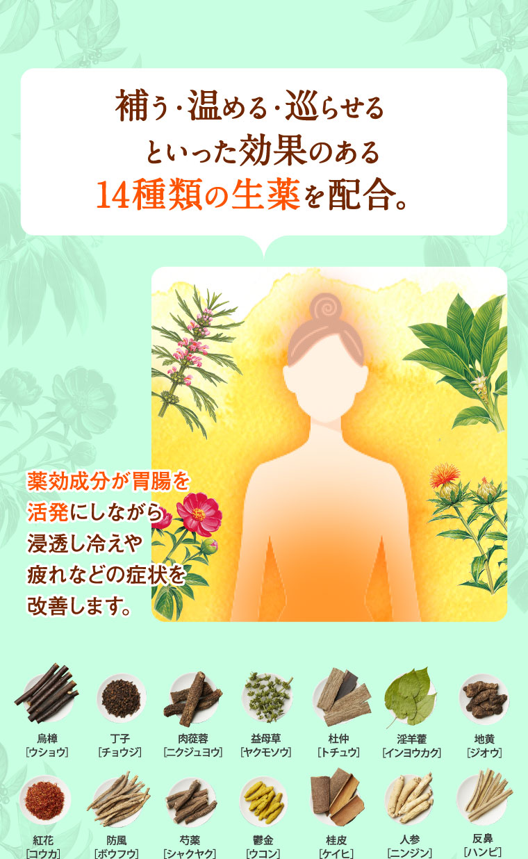 補う・温める・巡らせるといった効果のある14種類の生薬を配合。