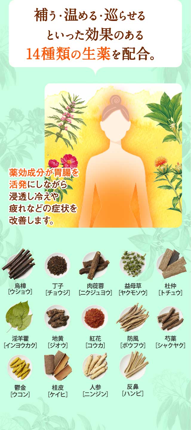 補う・温める・巡らせるといった効果のある14種類の生薬を配合。