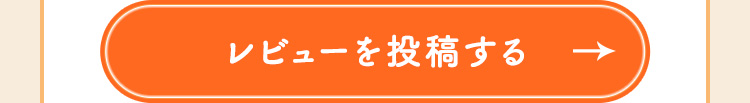 レビューを投稿する