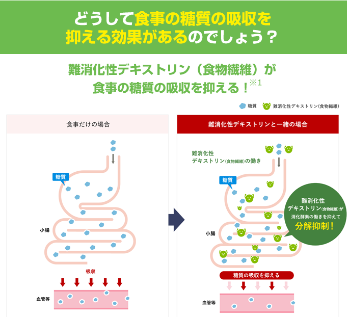 どうして食事の糖質の吸収を抑える効果があるのでしょう？