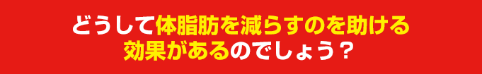 どうして体脂肪を減らすのを助ける効果があるのでしょう？
