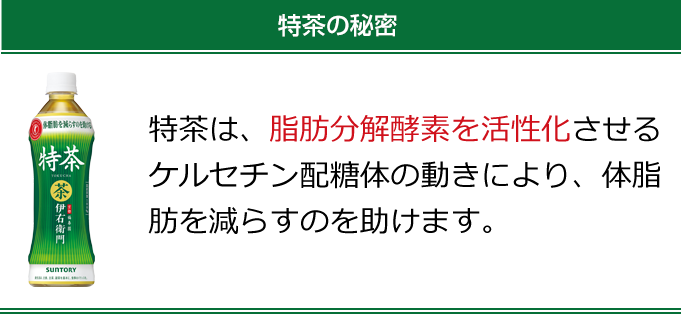 特茶の秘密　特茶は、脂肪分解酵素を活性化させるケルセチン配糖体の動きにより、体脂肪を減らすのを助けます。