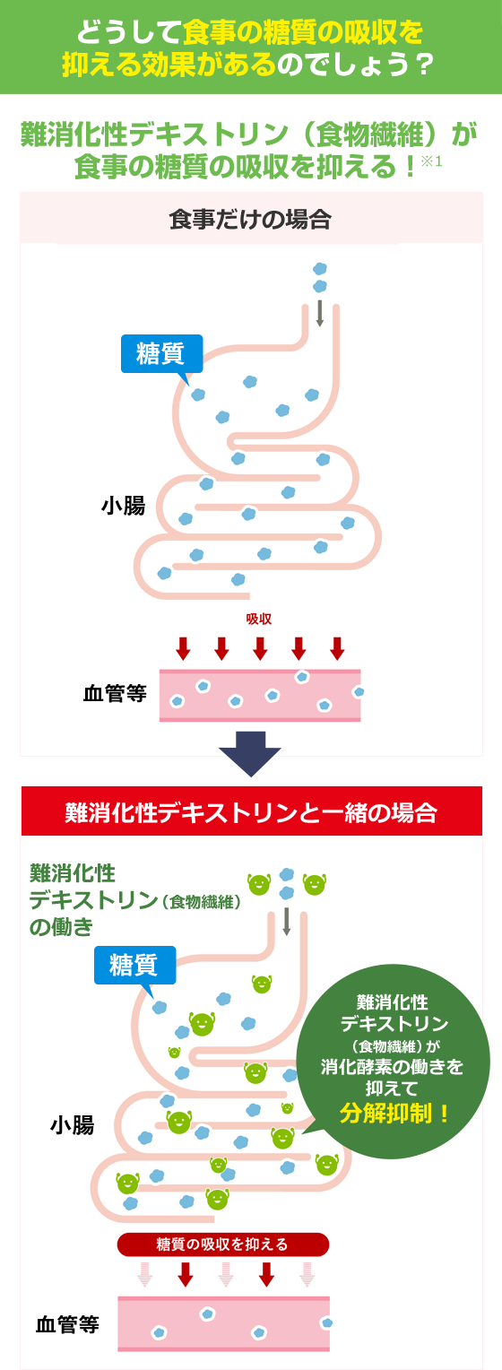 どうして食事の糖質の吸収を抑える効果があるのでしょう？