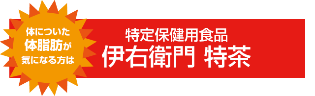 体についた体脂肪が気になる方は特定保健用食品伊右衛門 特茶