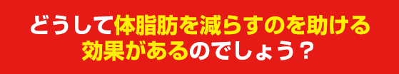 どうして体脂肪を減らすのを助ける効果があるのでしょう？